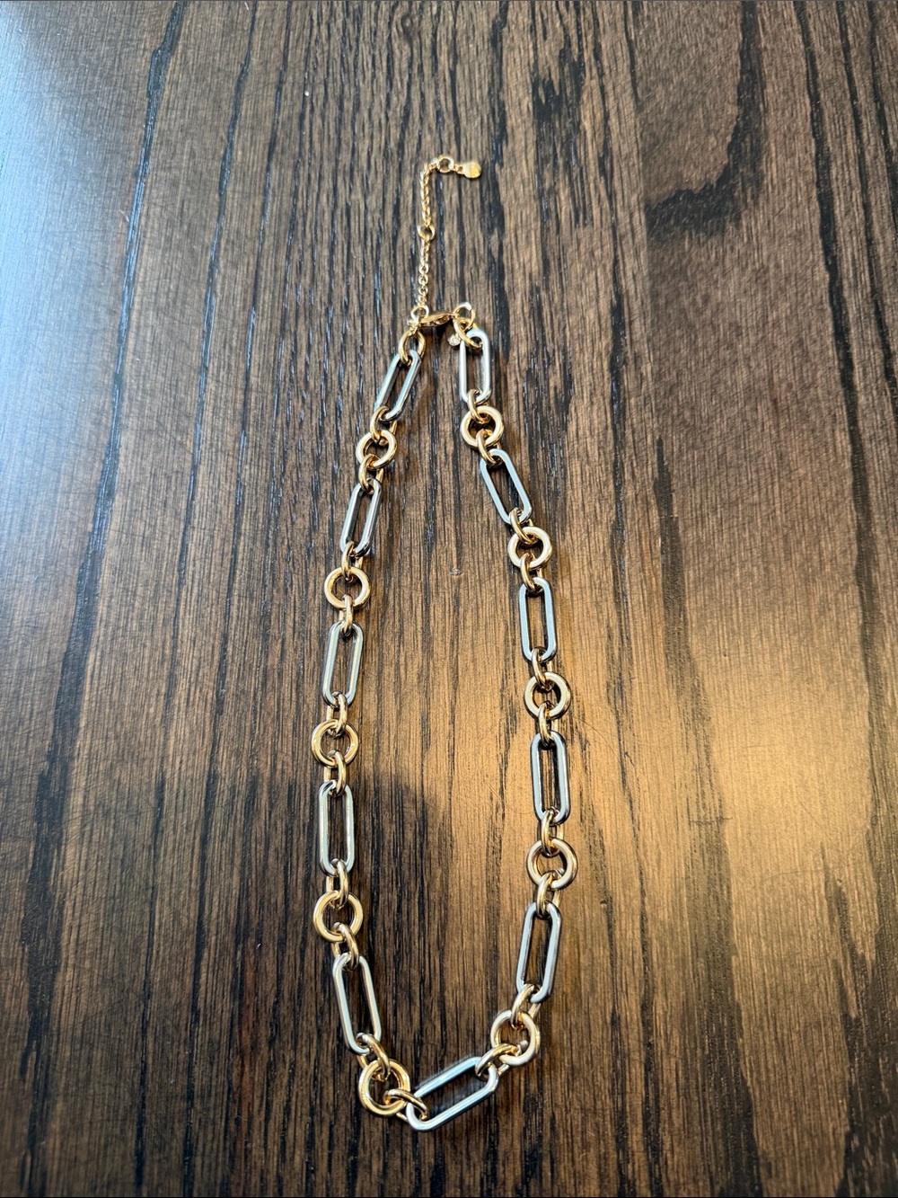 NWOT Loft Silver & Gold Chain Nexklace